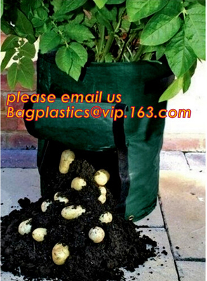 El plantador creciente del jardín del bolso de la patata respetuosa del medio ambiente del PE empaqueta lavable reutilizable crece la prenda impermeable de los potes, potes elegantes para la verdura