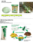 Pajote biodegradable del 100%, procesos de degradación biológicos, caja de la fruta, maceta, paño del yute, cultivando el bolso, red del yute, red