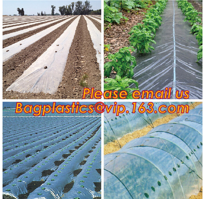 Película biodegradable perforada agrícola del pajote de la película del pajote que cultiva un huerto cultivando la barrera al aire libre de la mala hierba del paisaje del jardín de la película