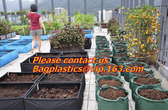 El jardín de la horticultura del invernadero empaqueta bolsos del cuarto de niños que las plantas crecen el jardín biodegradable de la bolsa de los potes de la tela de los bolsos/de las plantas del bolso