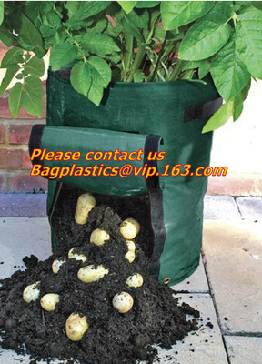 El jardín de la horticultura del invernadero empaqueta bolsos del cuarto de niños que las plantas crecen el jardín biodegradable de la bolsa de los potes de la tela de los bolsos/de las plantas del bolso