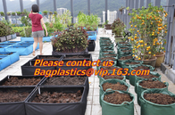 La horticultura, crece los bolsos, hidrocultivo, suelo, jardín, plantador, cuarto de niños, potes empaqueta, espesó los bolsos plásticos del cuarto de niños para la planta