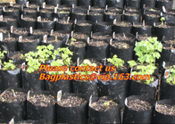 Crezca los bolsos, flor/pote vegetal/de la planta de los potes de la aireación de Smart del bolso no de la tela para la bolsa de plástico blanca de la granja del jardín (5 galones - 1