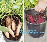 El envase plástico del crecimiento vegetal del pote del plantador del jardín crece verduras: Patata, zanahoria, tomate, jengibre, cebolla de los cacahuetes