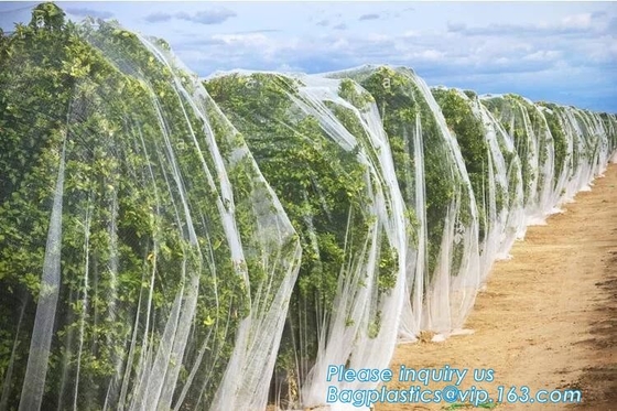 Red anti plástica para la agricultura, red/invernadero antis de la protección de las plantas del pájaro/del saludo/del insecto del áfido del repelente de insectos net/20x10