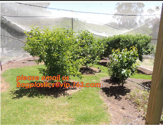 Red anti vendedora caliente del insecto del invernadero con el precio competitivo, red anti del insecto del HDPE virginal para la agricultura, BAGPLASTI