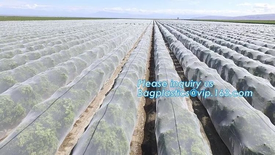 El blanco de la Virgen del HDPE recicla la red anti del insecto del invernadero, nettin neto del insecto del insecto anti agrícola del invernadero de la cubierta de 50 mallas