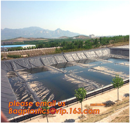 geomembrane para el geomembrane del vertido del geomembrane del HDPE del vertido, geomembrane BAGEASE de 2.0m m del HDPE del precio/gse del geomembrane del HDPE