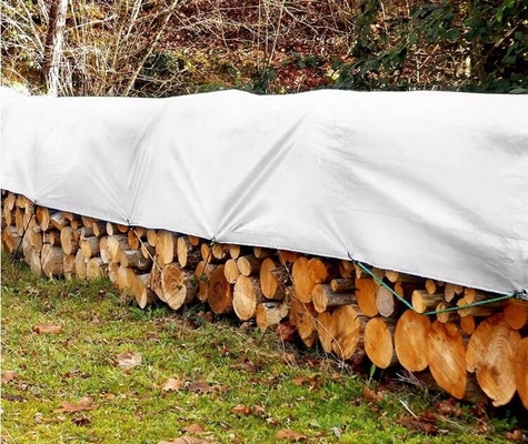 Hoja plástica de la lona del toldo de la caravana de la lona de la prenda impermeable de la lona de la impresión de Digitaces de la cubierta de la lona de la plataforma del camión para la cubierta del camión
