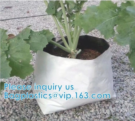 El jardín de la horticultura del invernadero empaqueta bolsos del cuarto de niños que las plantas crecen el jardín biodegradable de la bolsa de los potes de la tela de los bolsos/de las plantas del bolso