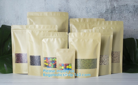 Bolsas reutilizables del papel de la cerradura de la cremallera con Matte Window And Tear-Away Notch para el almacenamiento multiusos