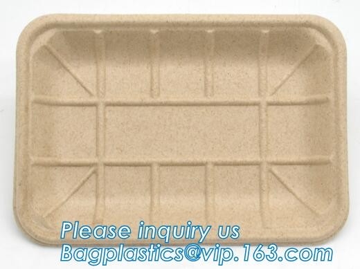 el servicio de mesa biodegradable del almidón de maíz de la bandeja de la carne del almidón de maíz fija la bandeja biodegradable Tray Paper Food Tra rectangular de la torta