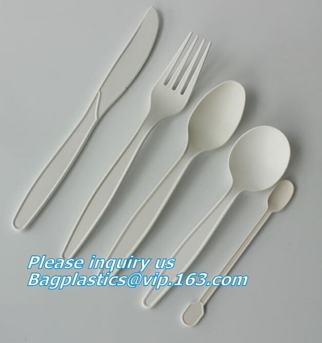bandeja biodegradable de la carne, bandeja disponible de la tienda de delicatessen de la placa, bandeja biodegradable del desayuno, bandeja disponible biodegradable de la comida