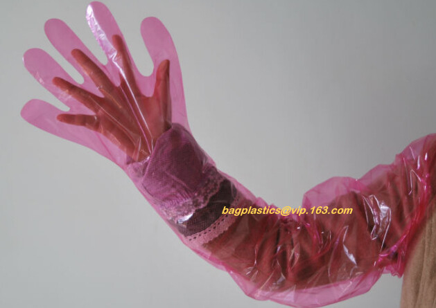 la maicena hizo comida plástica disponible abonable biodegradable del PE el HDPE transparente handliDisposable PE los guantes plásticos