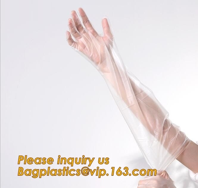 Guantes limpios disponibles plásticos del PE biodegradable, guantes plásticos de la mano del PE reciclable sanitario al por mayor para limpiar BAGEA