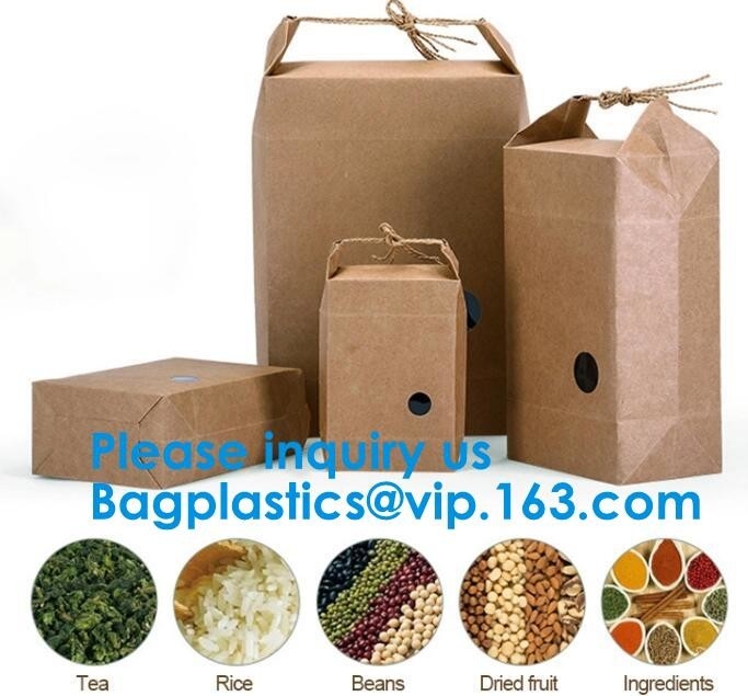 Imprimiendo la bolsa de papel de Brown Kraft de las compras del regalo que embala acepte el bagplasti modificado para requisitos particulares del bagease de la manija de Logo Paper Bag With Rope