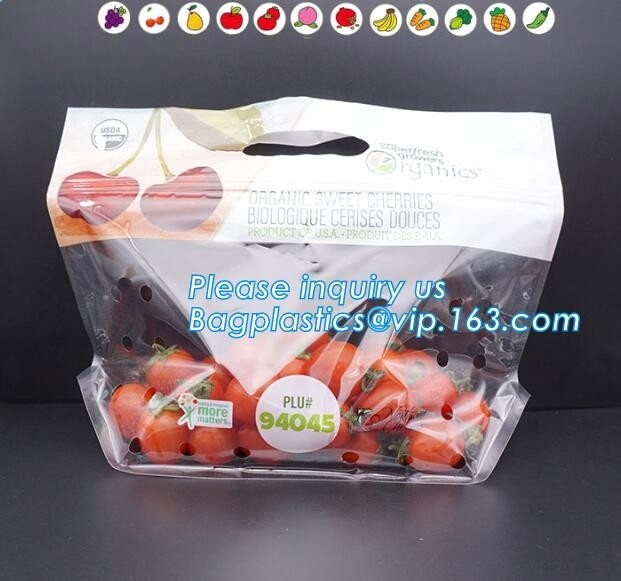 El empaquetado de la fruta del diseño del OEM suministra el mango del bolso de la protección de la fruta del tomate de cereza, uva Cherry Vegetable Packing Prote de la fruta