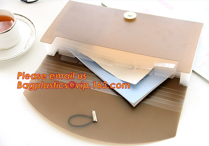 organizador de escritorio extensible polivinílico plástico de la carpeta de archivos de los pp del nuevo tamaño popular de a4/letter