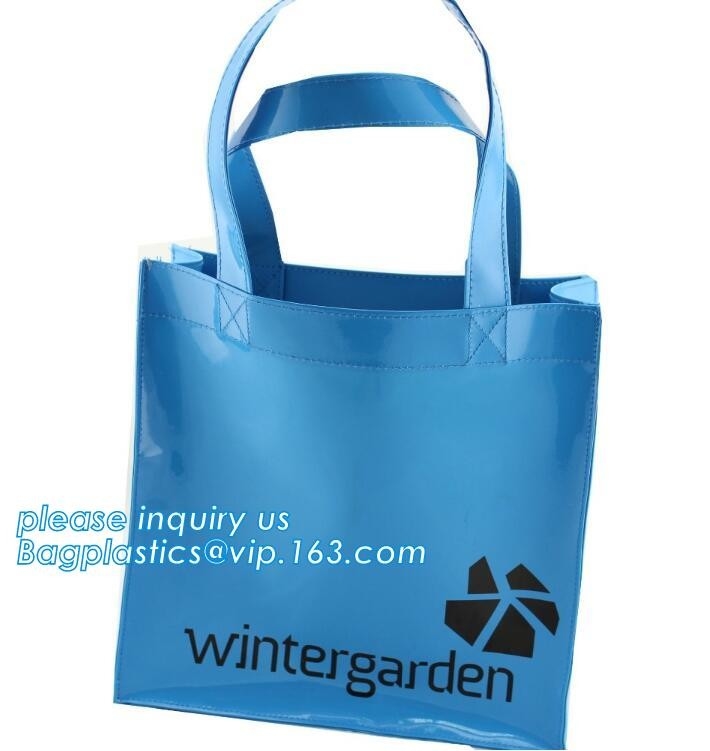 Caliente-venta del bolso de los bolsos de las mujeres de los interiores del bolso de los padres PU/PVC, bolso Semi-claro del bolso de la playa del PVC de Tote Bag con
