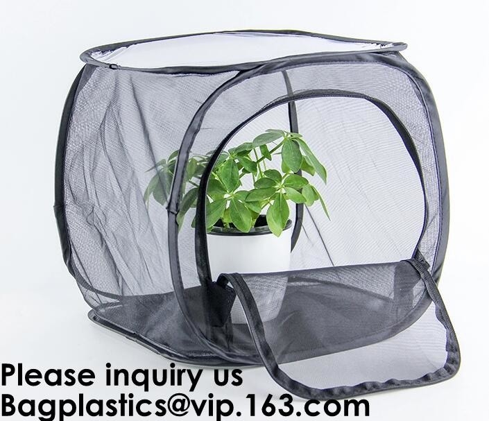 Invernaderos agrícolas para el establecimiento de tomate, servicios móviles del protector de la planta de tomate como Mini Greenhouse para acelerar Gro
