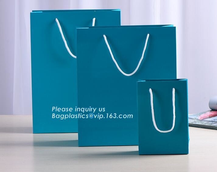 La suposición modificó el bolso de papel de lujo impreso de alta calidad y negro del regalo para requisitos particulares de las compras, bolso que hacía compras de papel de lujo con las manijas