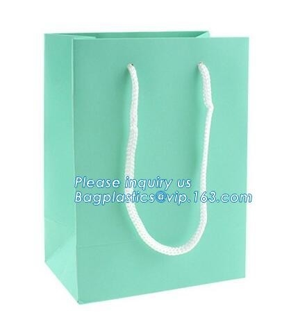 Bolsas de papel de lujo con diversos tamaños de las manijas, impresión de encargo de la bolsa del papel de arte que hace compras 250gsm con la cuerda de la manija