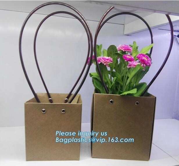 Las bolsas del papel de la flor de las cajas de embalaje de la flor de la cartulina florecen el empaquetado, amigo de encargo del eco del bolso de compras de la lona de la bolsa de libros