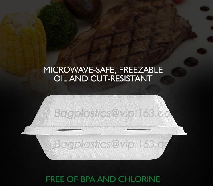 fiambreras para los niños, fiambrera clara disponible con congelable para el restaurante, fiambrera biodegradable del paquete del totalizador del PLA