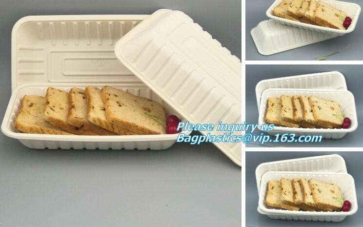 LAS TAZAS DE LA CAÑA DE AZÚCAR PLATEAN LOS ENVASES DEL CUENCO, BANDEJA DE LA COMIDA DEL PLA, CULTERY, PAJA, ECO BIOGERADABLE AMISTOSO BAGEASE ABONABLE PACKA