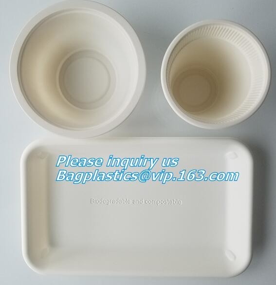 ENVASE DEL CUENCO DEL PLATILLO DE LA CAÑA DE AZÚCAR, BANDEJA DEL PLATO DEL PLA, CULTERY, PAJA, ALMIDÓN BAGPLASTICS BAGEASE DEL BAGAZO DEL SERVICIO DE MESA DE ECO BIO