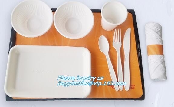 DE LA CAÑA DE AZÚCAR DEL BAGAZO DEL PLA BIO ECO VAJILLA DEL SERVICIO DE MESA, ENVASE DEL CUENCO DEL PLATILLO, BANDEJA DEL PLATO DEL PLA, CULTERY BAGPLASTICS BAGEASE