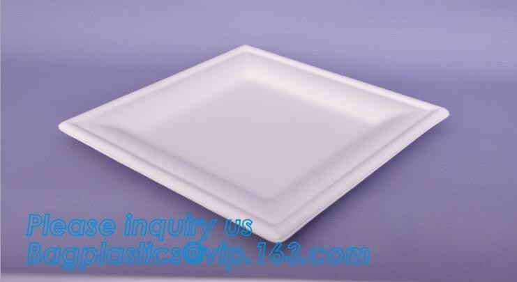 placa disponible del almidón de maíz de 7 pulgadas de la categoría alimenticia del vajilla biodegradable bonito de Eco, placas plásticas disponibles del almidón de maíz