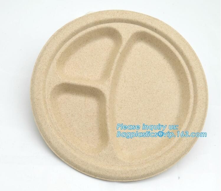 Placa biodegradable del bagazo de la caña de azúcar del verde de la categoría alimenticia de la placa, 10&quot; bagease oval disponible respetuoso del medio ambiente pac de la placa de la caña de azúcar