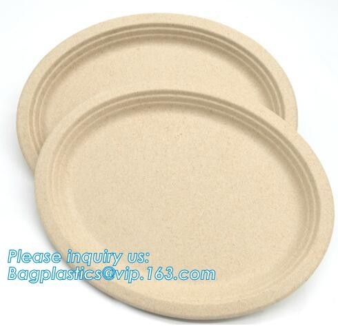 bandeja biodegradable de la caña de azúcar del compartimiento del vajilla 5, materia prima de papel Composta de la caña de azúcar disponible biodegradable del 100%