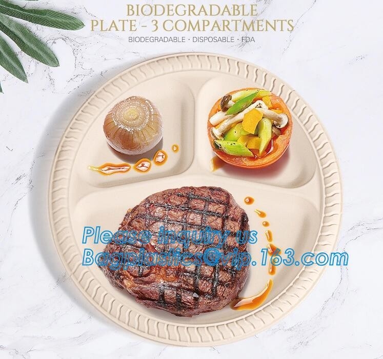 El bagazo biodegradable amistoso de la caña de azúcar de Eco platea disponible, placa biodegradable disponible de la pulpa del bagazo de la caña de azúcar para