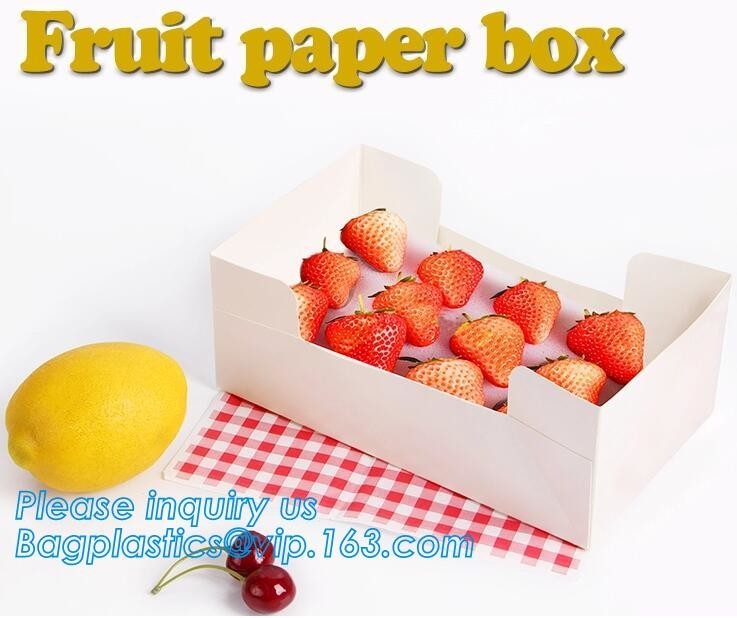 Cajas de papel disponibles de la categoría alimenticia, fiambrera de papel de Kraft, FIAMBRERA DE PAPEL PROMOCIONAL de KRAFT PARA EL SUSHI CON PRECIO de FÁBRICA