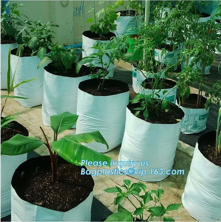 Drene el color Bolso-blanco cada vez mayor crecen al plantador crudo de Bags-100%Virgin PE empaqueta grueso de -25Gallon 150Microns que planta el bolso, PAC