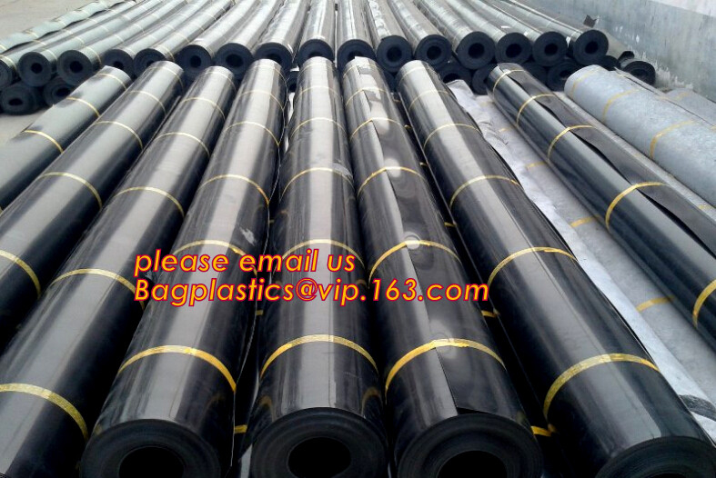 Geogrid plástico neto de la fibra de vidrio del geogrid de la soldadora de la malla del geotextil PE PE del colchón del geotextil del trazador de líneas de la arcilla de Geosynthetic